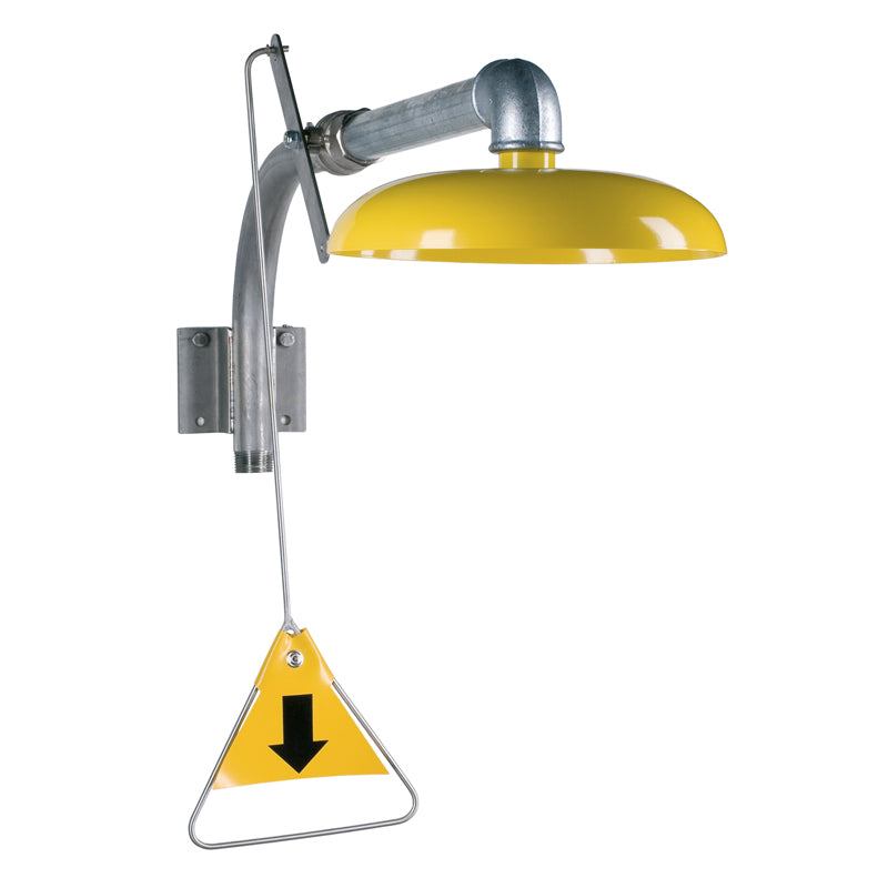 Stainless Steel Emergency Shower 3813-00