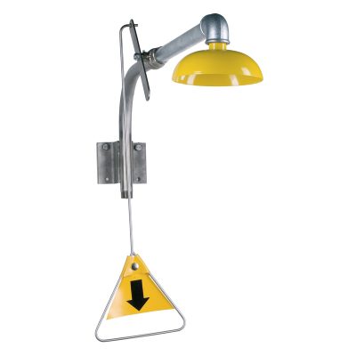 Stainless Steel Emergency Shower 3813-00