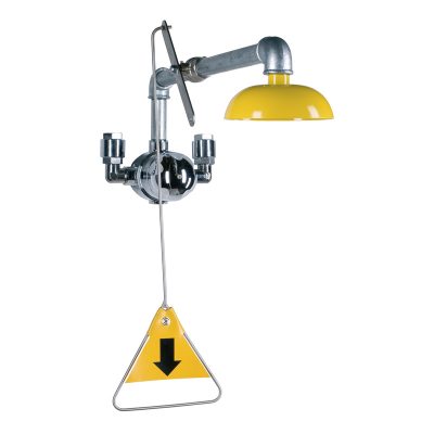 Emergency Shower 3836